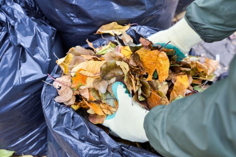 How to Get Rid of Leaves: 5 Alternatives to Bagging for Pickup