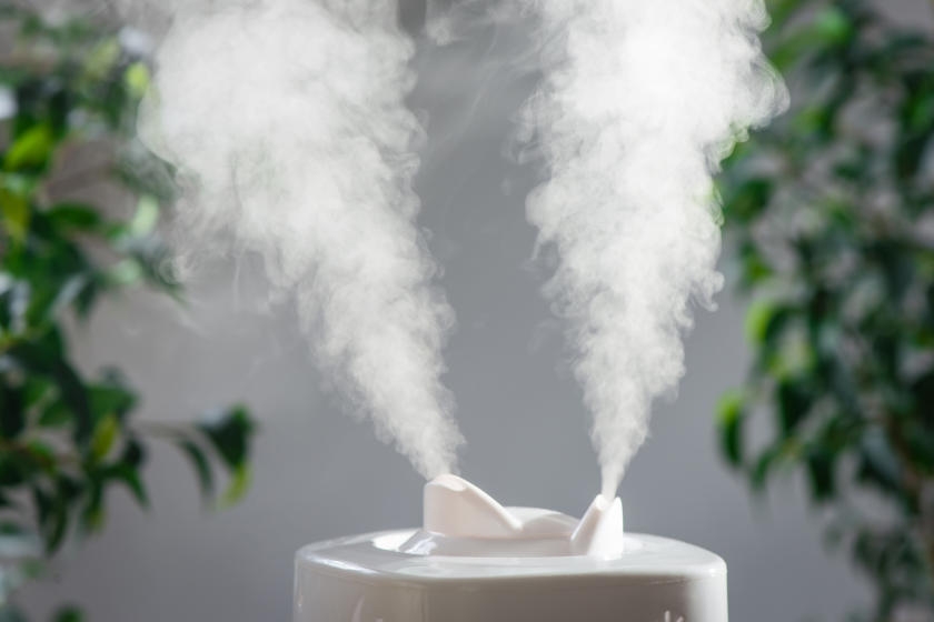 How to Choose the Best Humidifier for Your Home