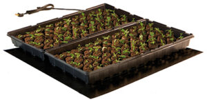 Seedling Heat Mat, 20 x 20-In.